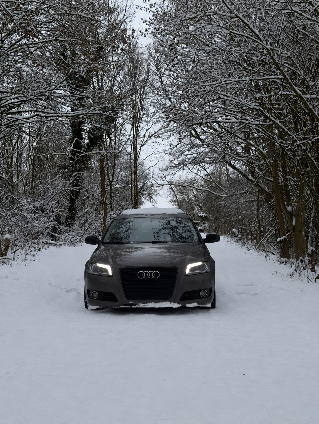 Audi A3 8P 2.0 TDI – dokumentiertes Fahrzeugprojekt bei MTK Coding